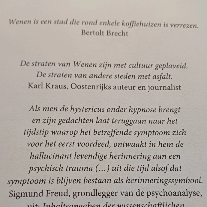 Inhoudspagina's van De geheimen van Sophie